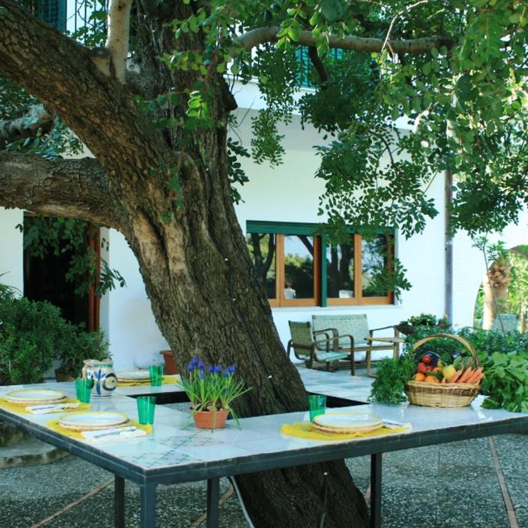 Casa del carrubo - Villa con Piscina Privata - 1