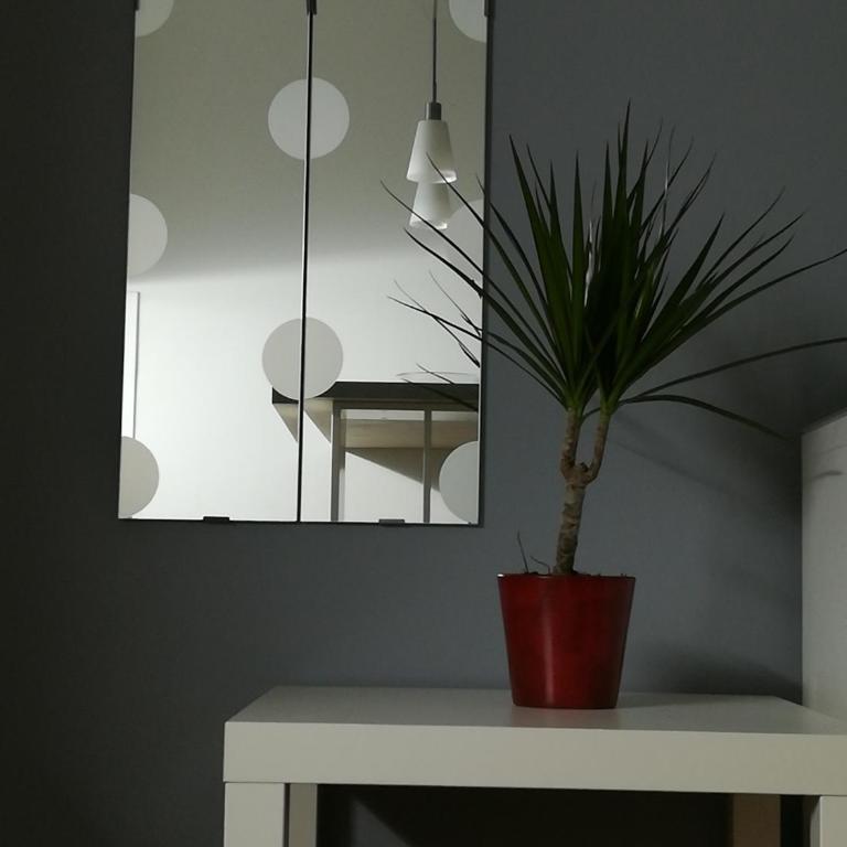 Freeman's place - Standardni Apartman - 4