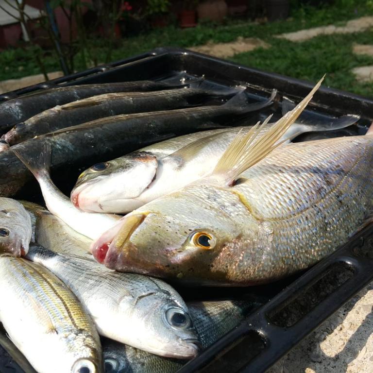 Stone Circle Apartments - Two-Bedroom Apartment - 25