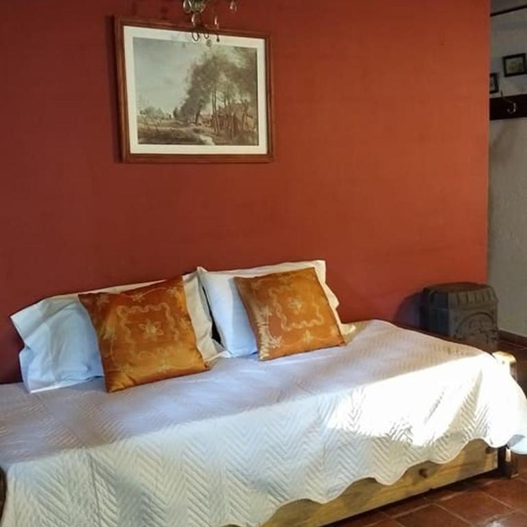 Entre Flores - Chalet - 3