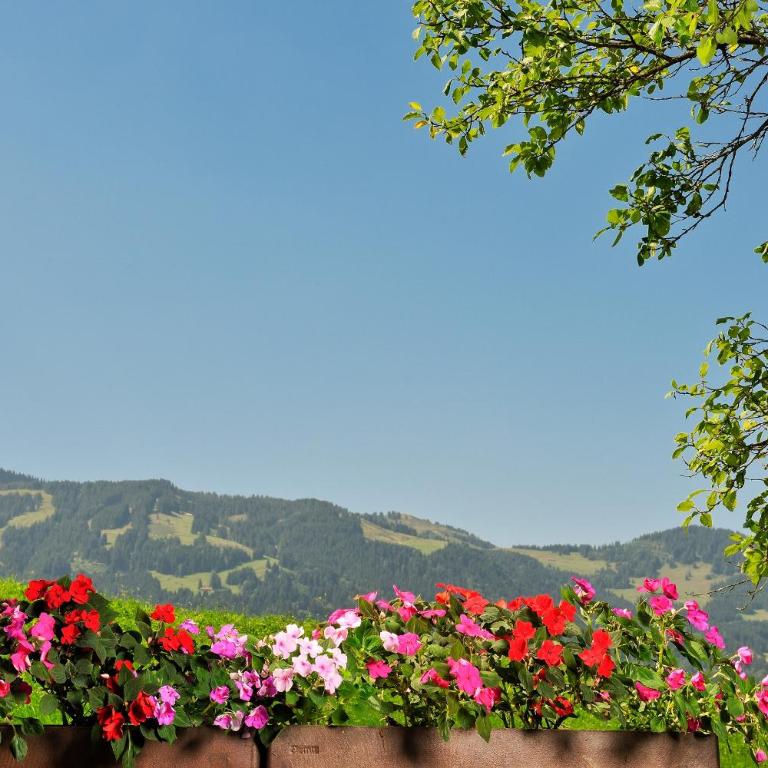 Hotel Alpenblick - Doppelzimmer - 3