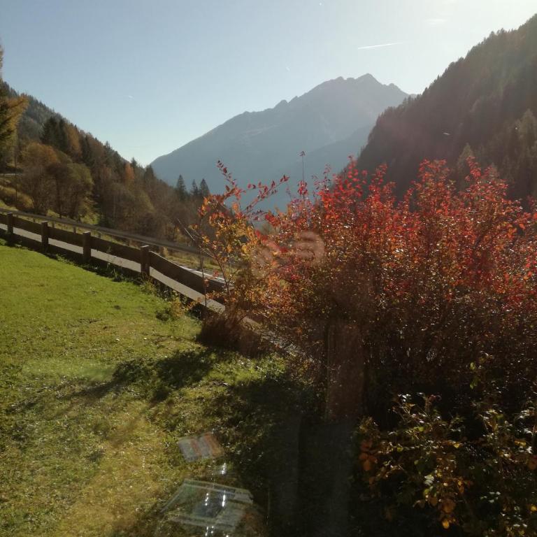Ferienhaus am Wallnerhof - Casa Vacanze - 19