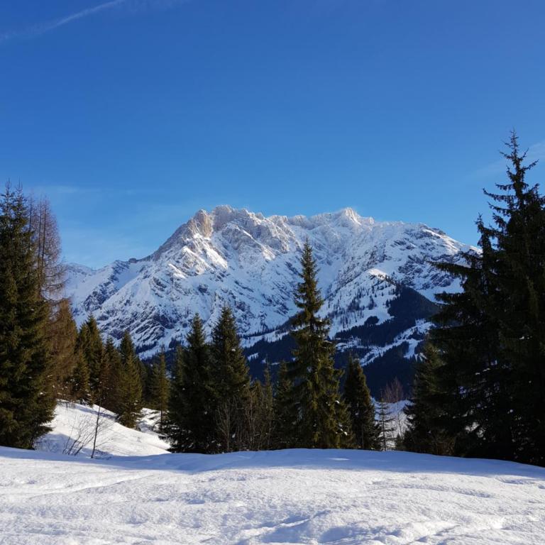 Haus Sonnleiten - Apartment mit Blick auf die Berge - 45