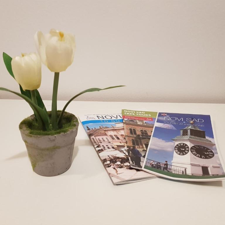 Apartments REST - Bulevar - Standardni Apartman - 18