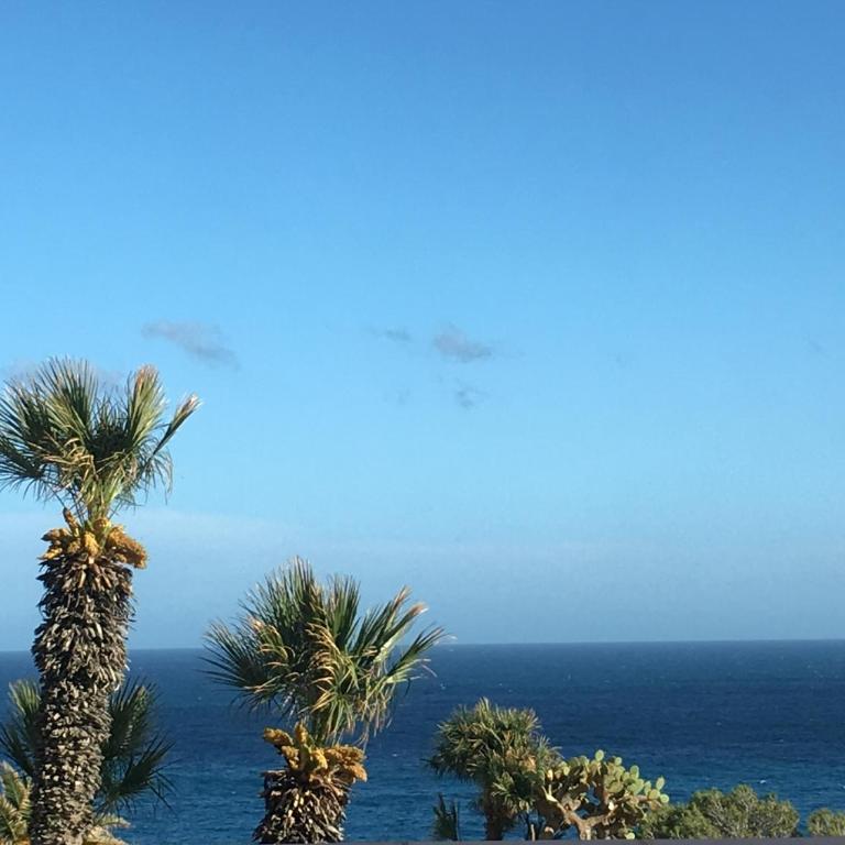 Cap Sa Sal Turquesa - Apartamento de 2 dormitorios con terraza y vistas al mar - 16