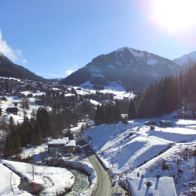 Le Savoyard - Chalet - 26
