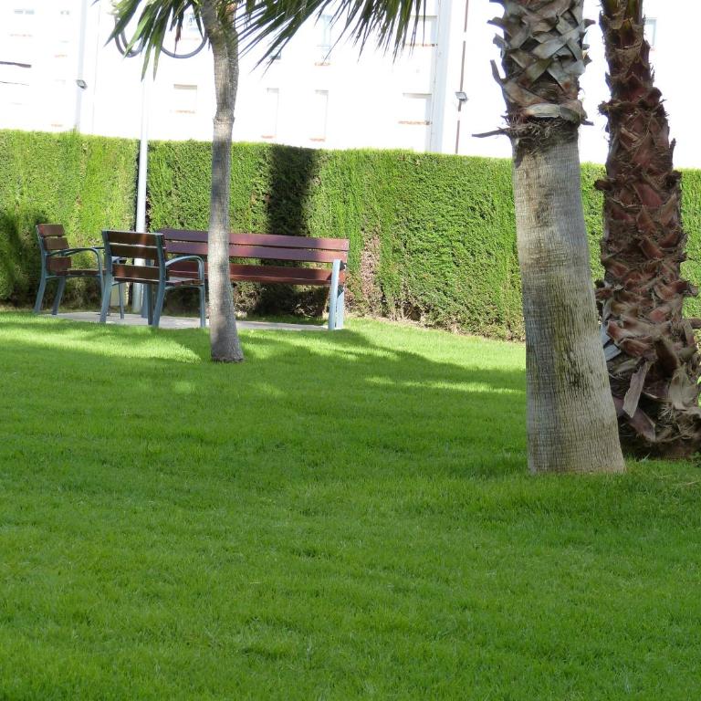 Apartamento Mediterráneo Bellavista - Apartamento - 6