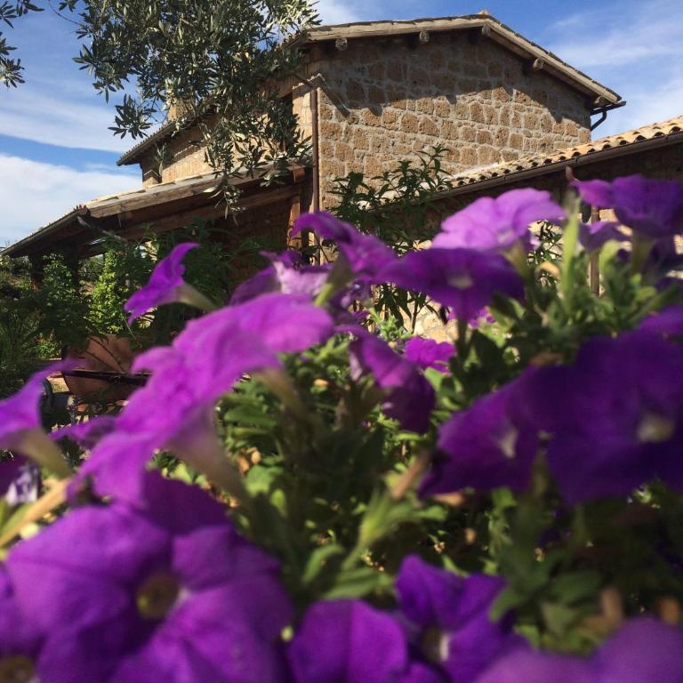 Villa I Calanchi Di Civita - Villa con Piscina Privata - 28