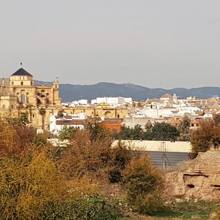Apartamento Polvora, junto al Puente Romano - Apartamento - 16