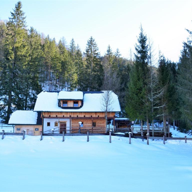 Ferienhaus Dirnbacher Hütte - Familienzimmer mit Balkon - 2