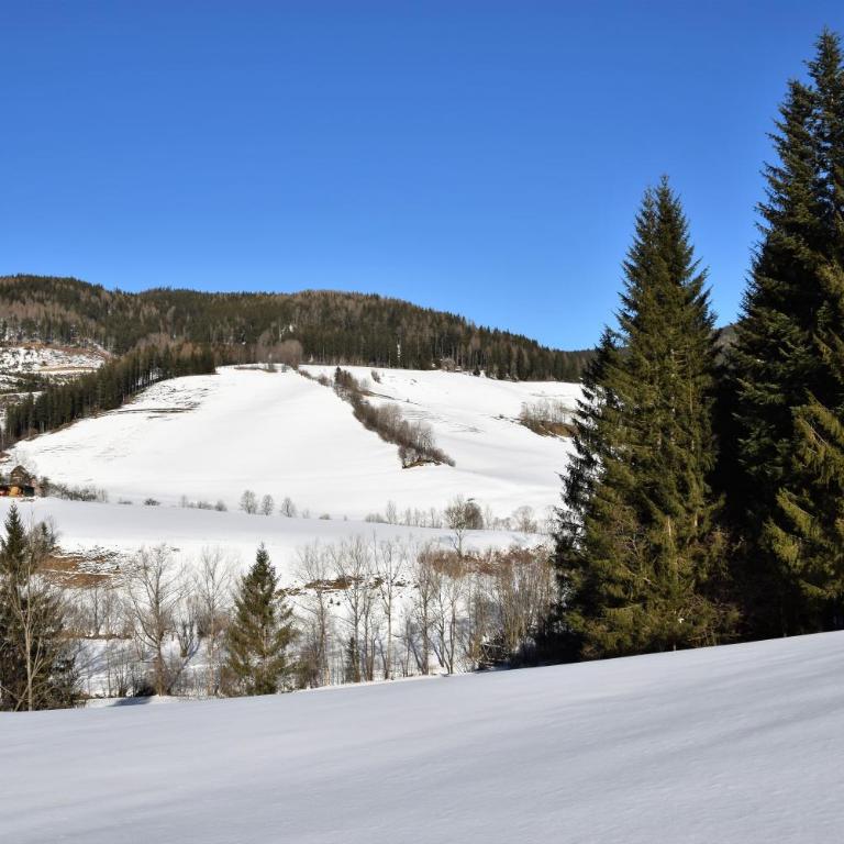 Ferienhaus Dirnbacher Hütte - Familienzimmer mit Balkon - 5