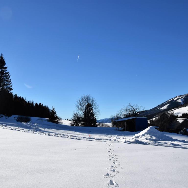 Ferienhaus Dirnbacher Hütte - Familienzimmer mit Balkon - 6