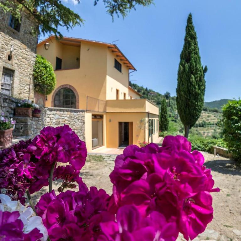 Villa Del Sole - Casa Vacanze - 64