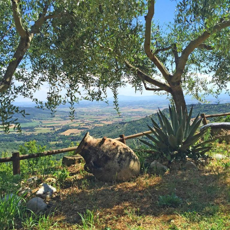 Villa Del Sole - Casa Vacanze - 61