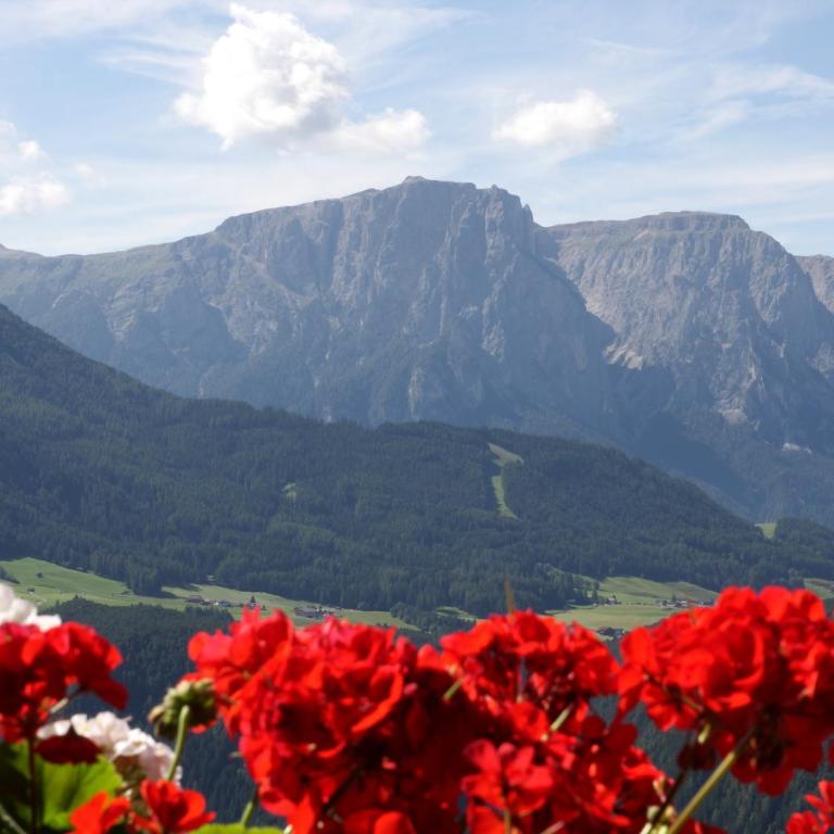 Gspoi-Hof - Monolocale (2 Adulti) - 2