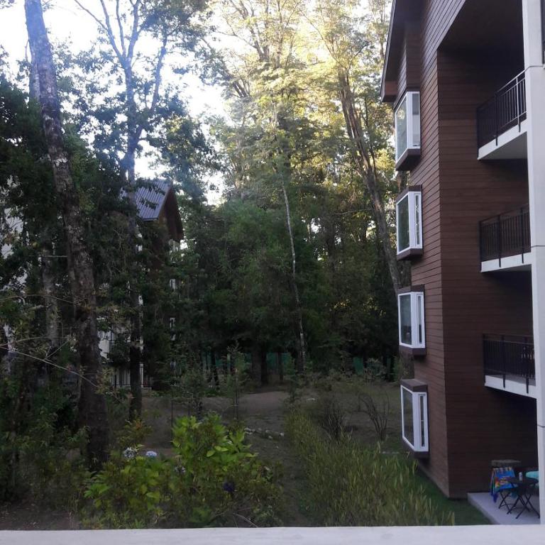 Pucón Andino, cómodo depto 3 dorm 2 baños - Apartamento de 3 dormitorios - 14
