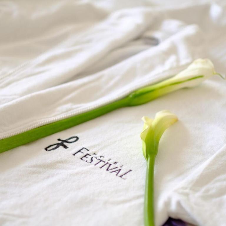 Hotel Festival - Komfor Dvokrevetna Soba sa Bračnim Krevetom - 1