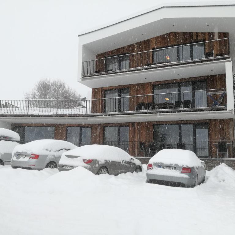 Appartement Kitzsteinhorn -Summercard included - Superior Apartment mit 2 Schlafzimmern, einem Badezimmer und zusätzlicher separater Dusche – obere Etage - 11