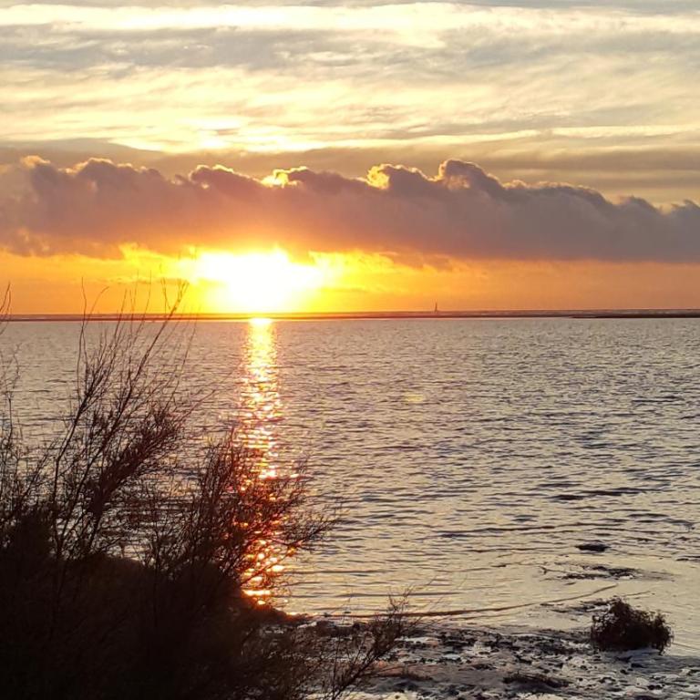 Appartement Le Flamant Rose - Appartement - Vue sur Lac - 21