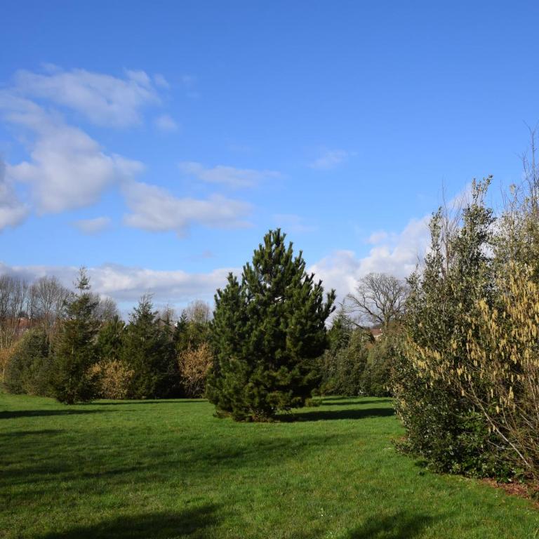 Appartement avec rez de jardin à Disneyland - Appartement - Rez-de-Chaussée - 45