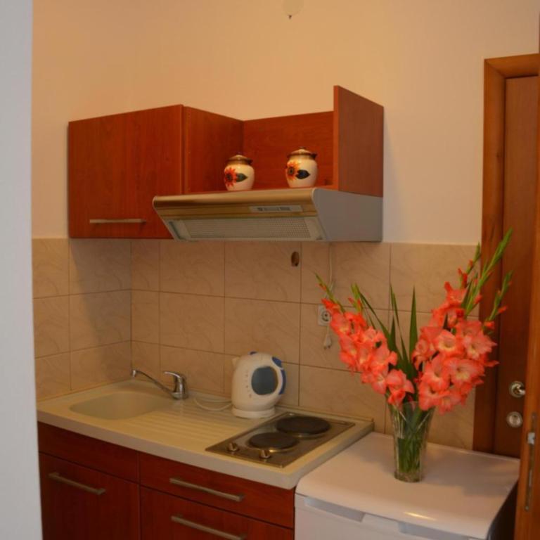 Apartment Dakic - Studio - 7