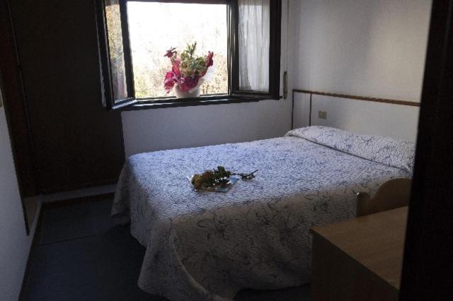Hotel Primavera - Camera Matrimoniale/Doppia con Letti Singoli - 10