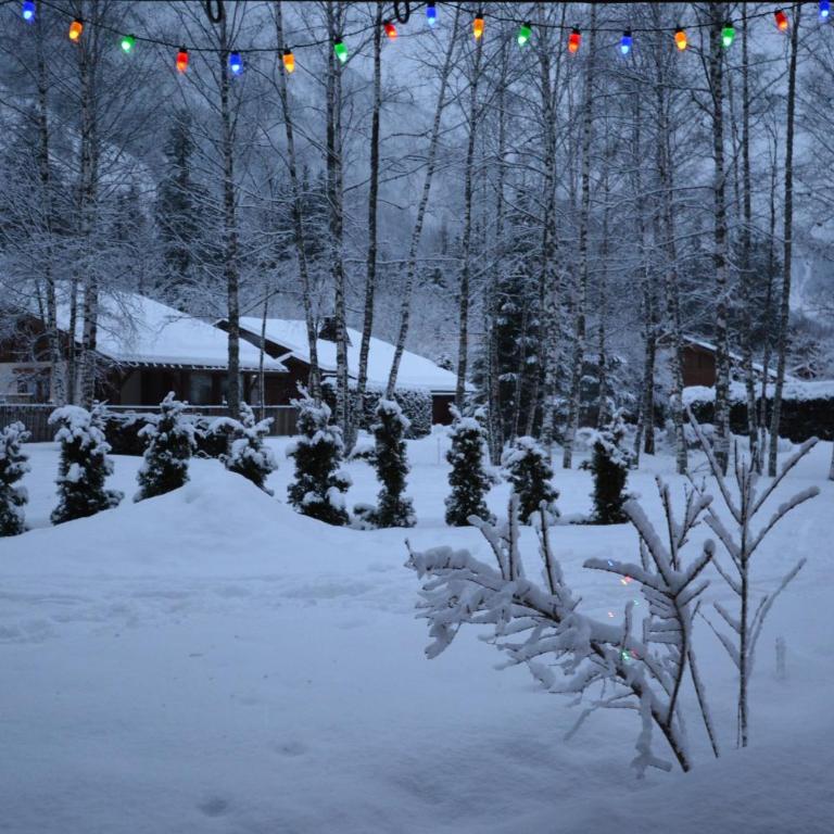 Chalet Champraz - Free Parking - Two-Bedroom Chalet - 27