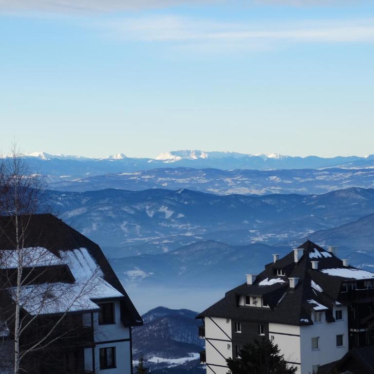 Apartman Dragana Kopaonik - One-Bedroom Apartment - 13