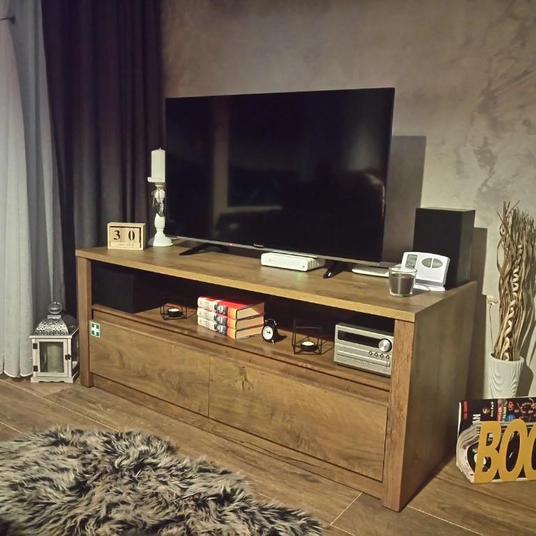 Apartman Dragana Kopaonik - One-Bedroom Apartment - 10