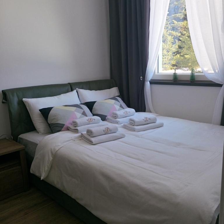 Apartman Dragana Kopaonik - One-Bedroom Apartment - 6