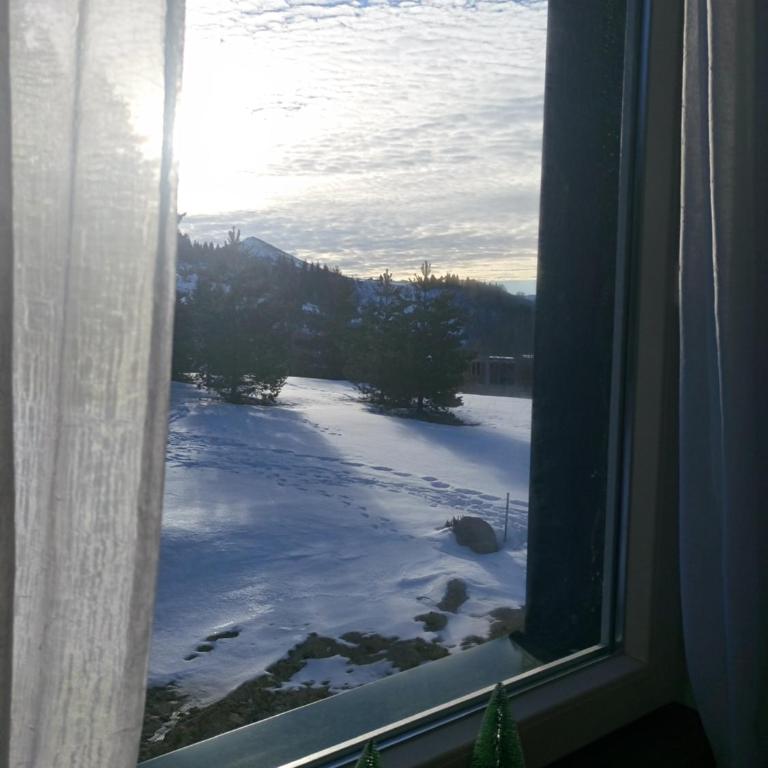 Apartman Dragana Kopaonik - One-Bedroom Apartment - 20