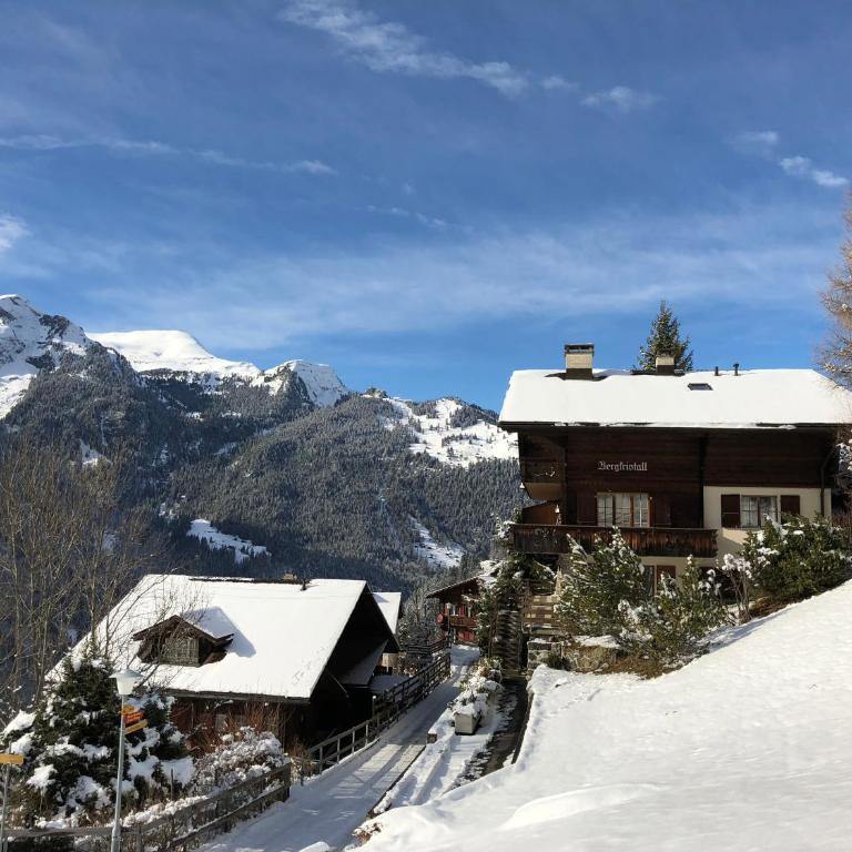 Chalet Bergkristall - Apartment mit Blick auf die Berge - 14