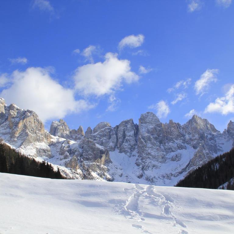Casa Fiemme Panchià - Appartamento con Vista Montagna - 20