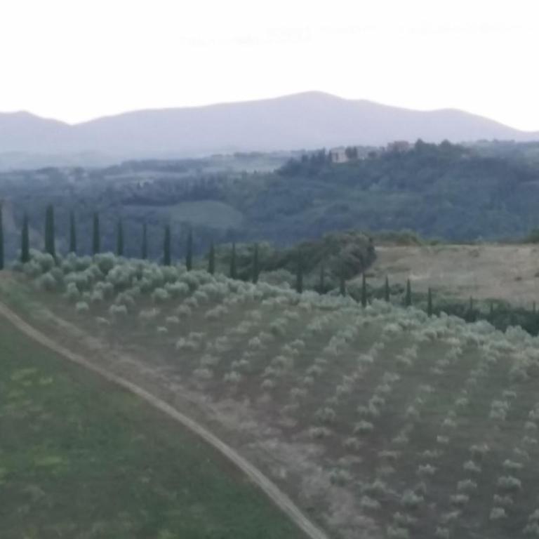 villa montalcino palazzina castelverdelli - Villa - 40