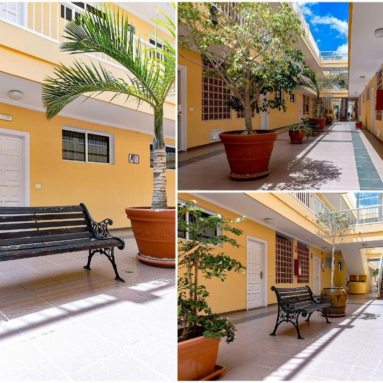 Ocean Pearl Apartment - Apartamento - 40