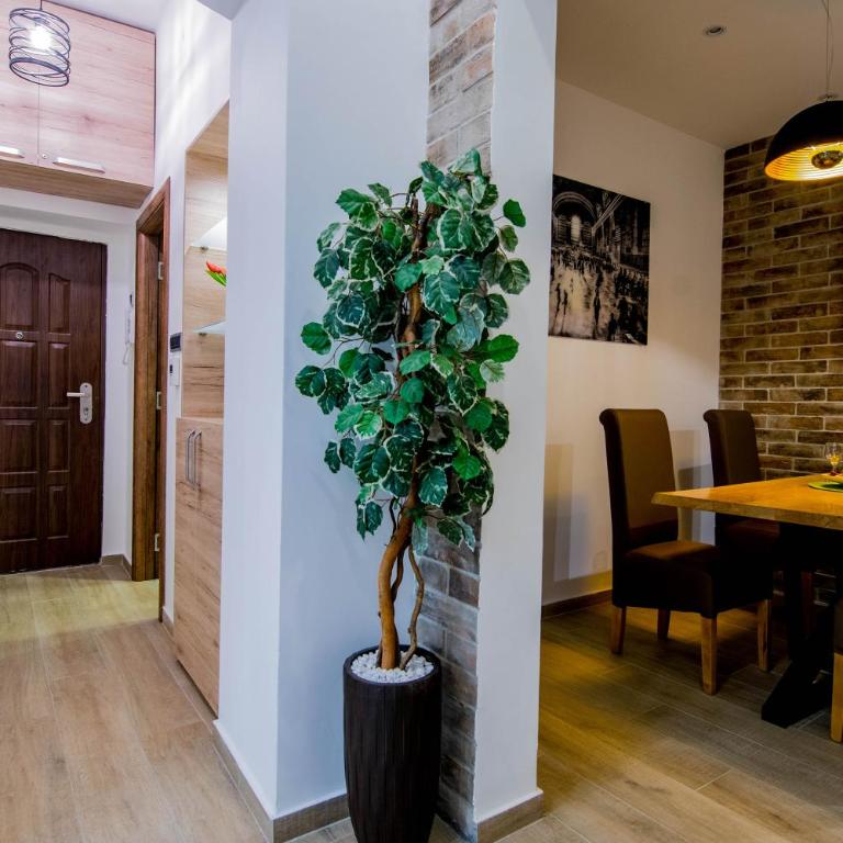 Cosmopolitan Apartment - Apartman - 9