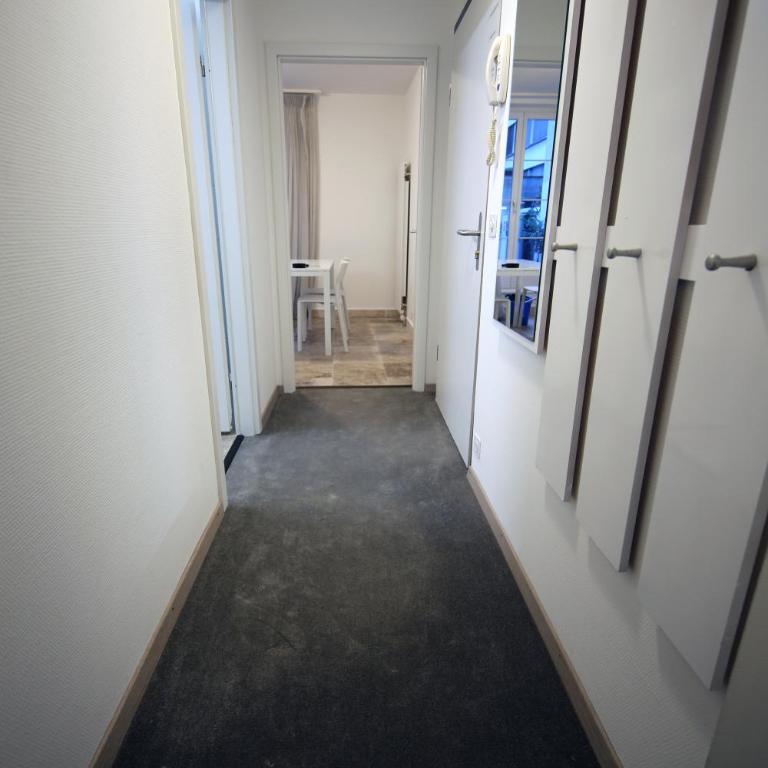 Cozy Studio (102) close to Cornavin Train Station - Appartement avec Terrasse - 14