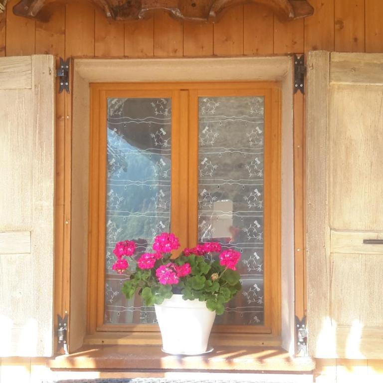 Le Perce Neige - Studio avec Terrasse - 1