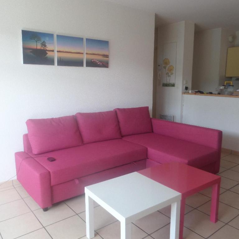 2 pieces a la teste de buch - Appartement 1 Chambre - 3