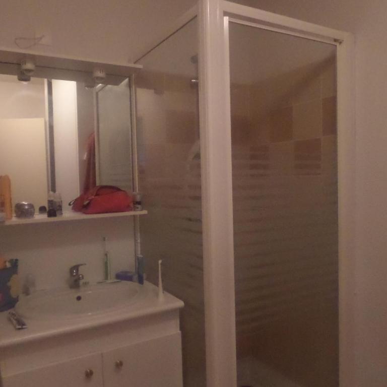2 pieces a la teste de buch - Appartement 1 Chambre - 10