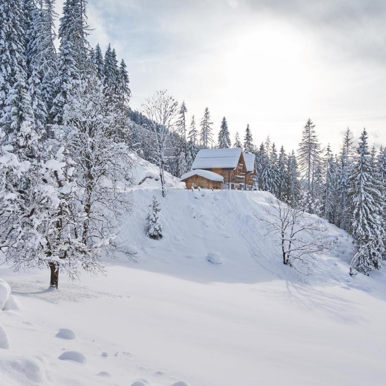 Chalets Almidylle - Chalet mit 3 Schlafzimmern - 20