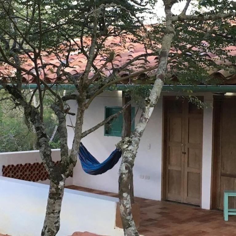 Finca San Pedro - Habitación Doble con vistas al jardín - 1
