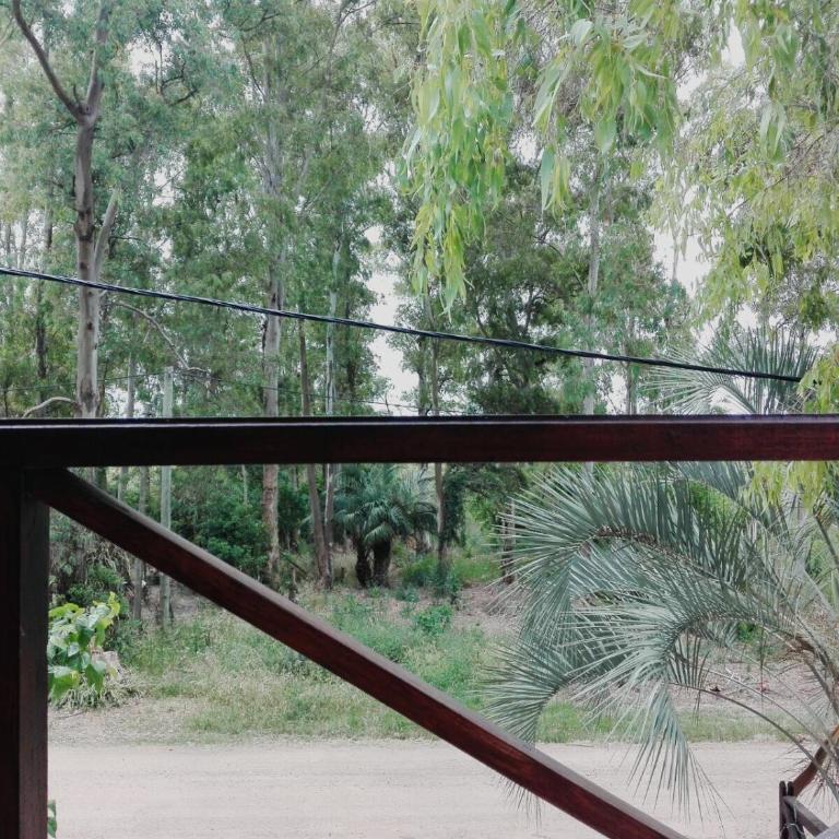 Escape a la Naturaleza - Apartamento - 2 niveles - 15