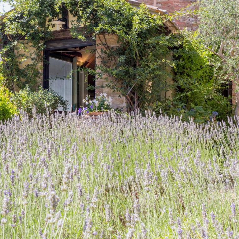 La Vittoria 10 – La Soglia della Val d’Orcia - Appartamento con Vista Giardino - 4