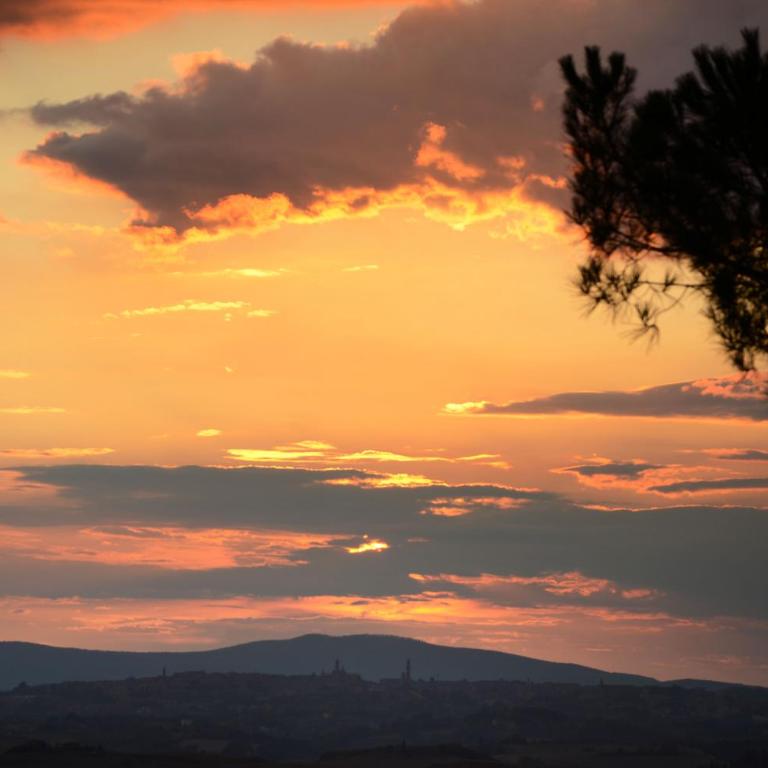 Podere il Granaio - Crete Senesi - Tuscany - Casa Vacanze - 48
