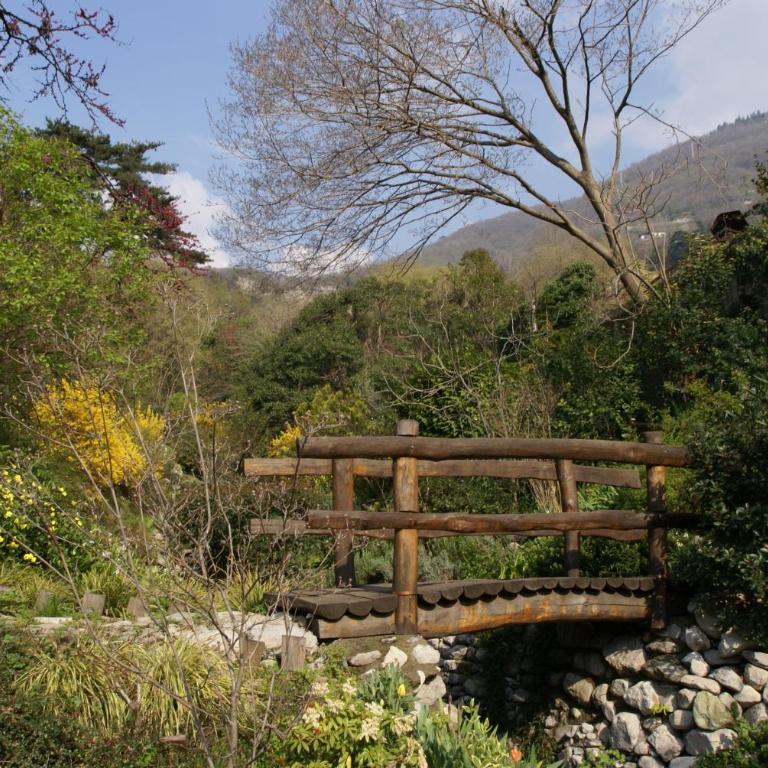Tra Cielo e Lago - Casa Vacanze - 21