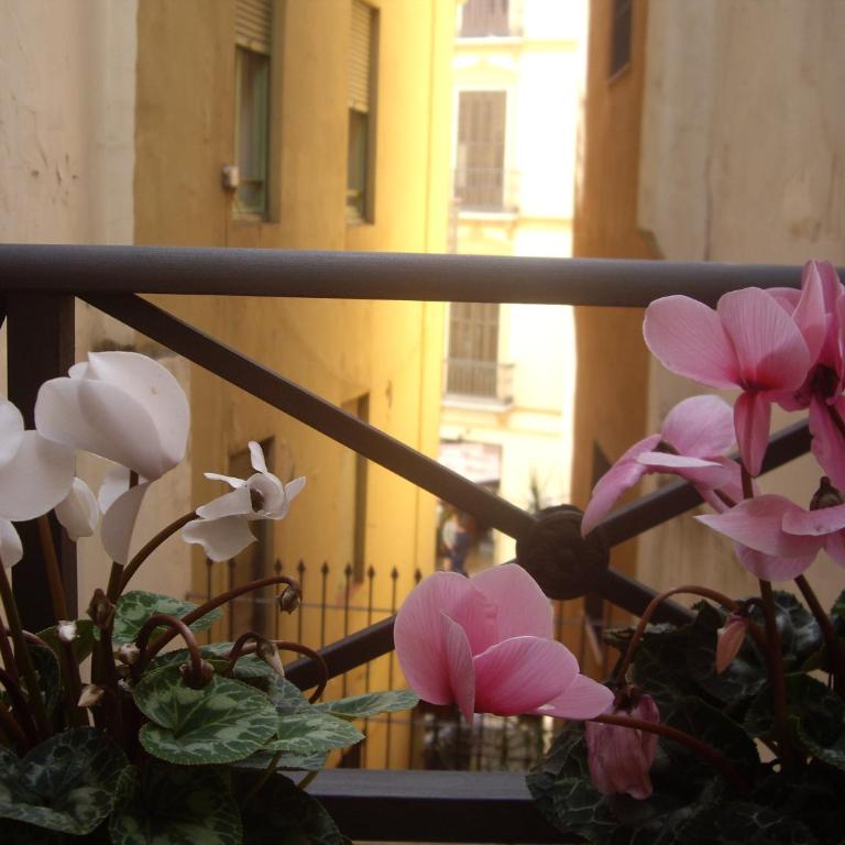 Apartamento Alcazaba - Apartamento Deluxe - 13