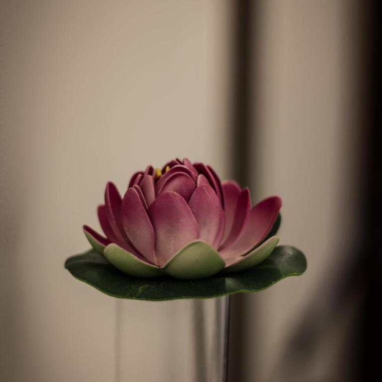A due passi dal Lumière - Camera Matrimoniale con Bagno Privato - 5
