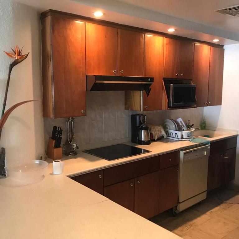 Mayan Vidanta Playa Departamento 2 Y 3 Recamaras varias albercas - Apartamento de 3 dormitorios - 14