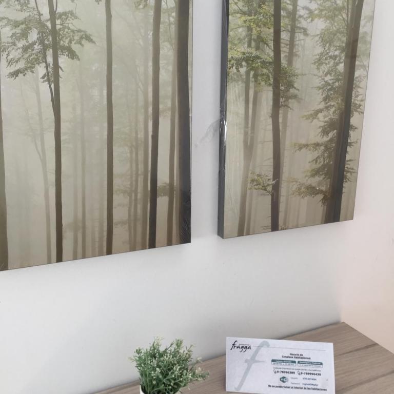 Fragga Hospedaje Boutique - Habitación Individual con baño privado - 7